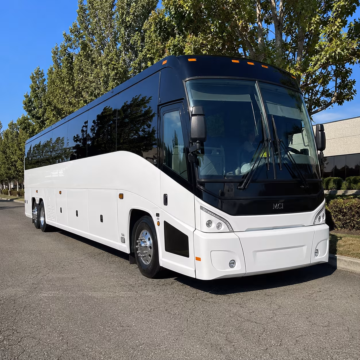 seattle 50 passenger charter bus