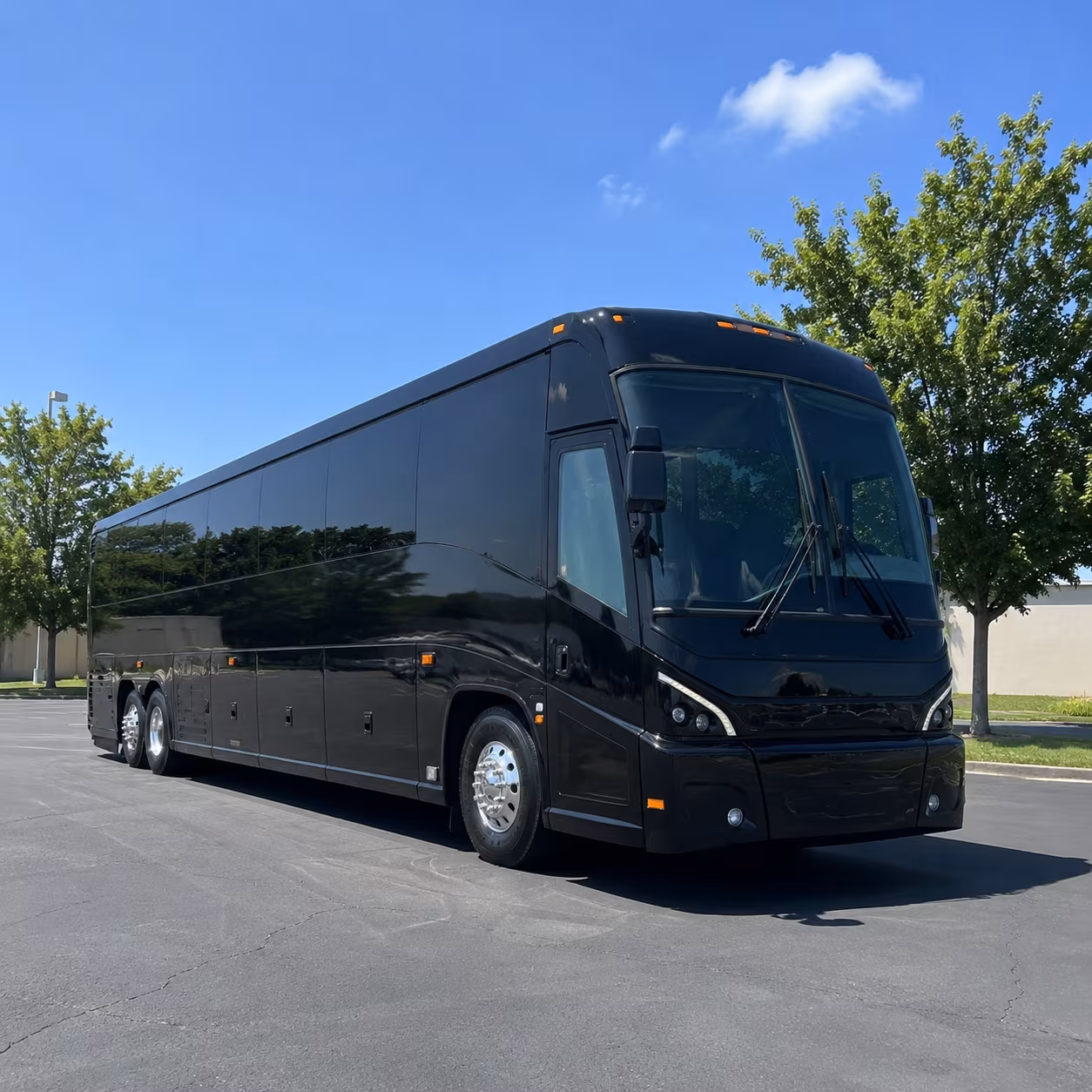 seattle 56 passenger charter bus